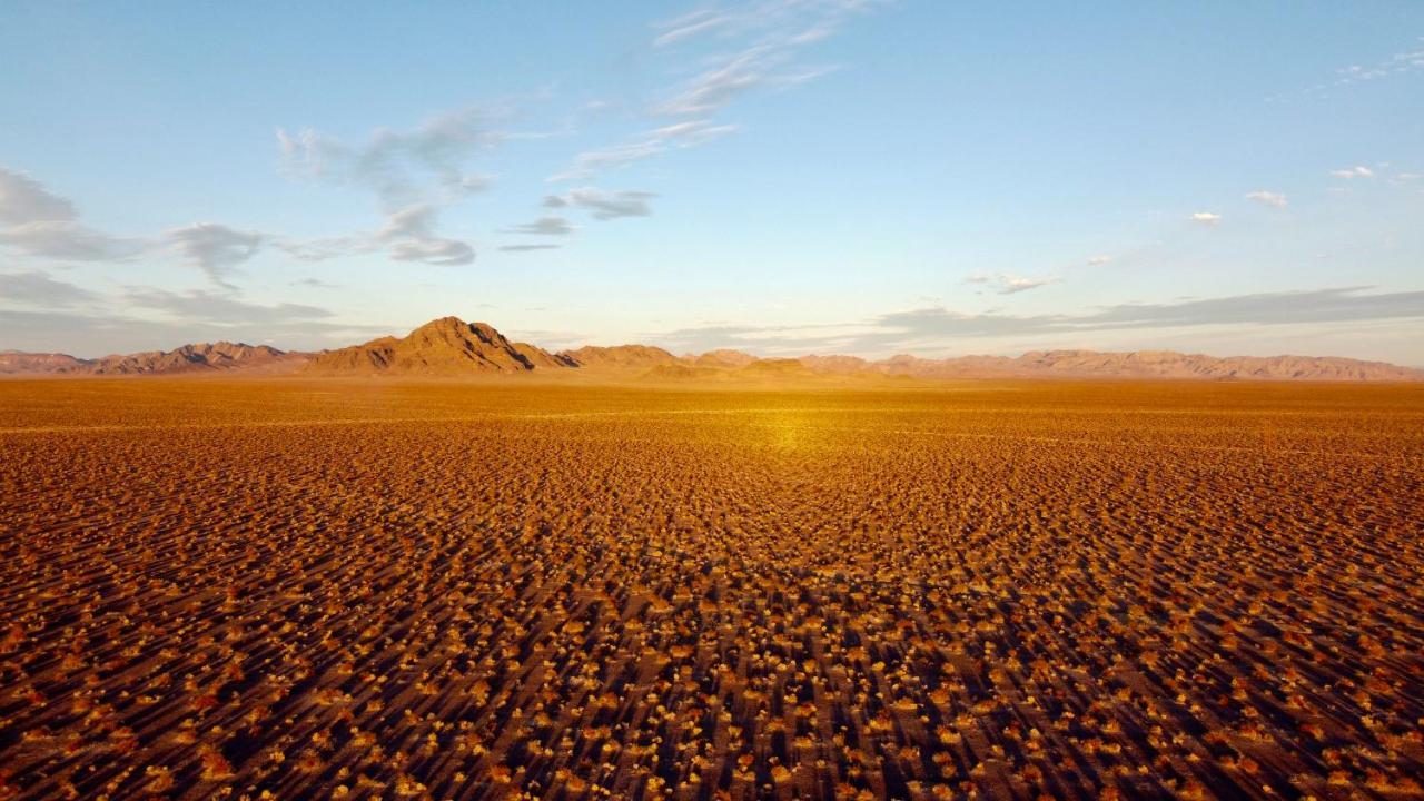 Tarantula Ranch Campground & Vineyard Near Death Valley National Park Амаргоса-Вэлли Экстерьер фото