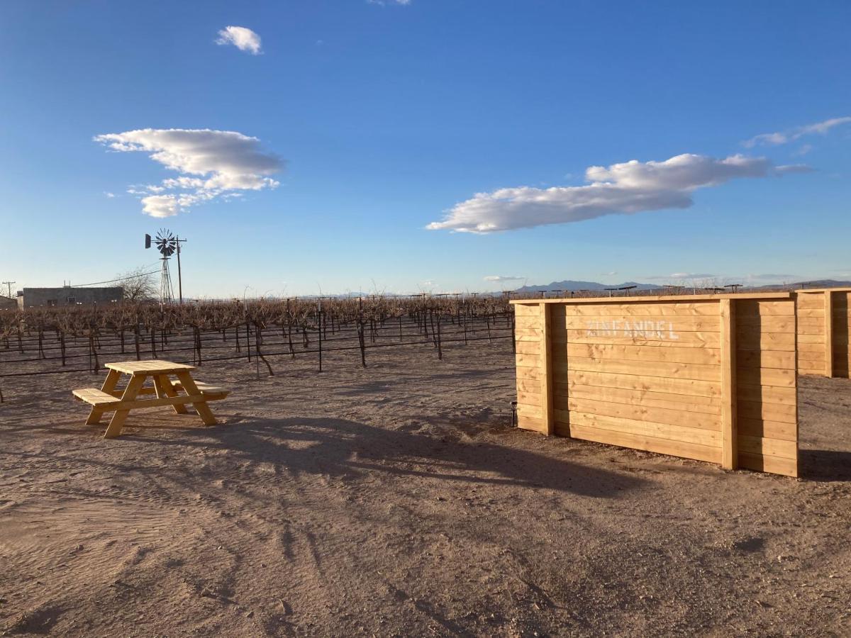 Tarantula Ranch Campground & Vineyard Near Death Valley National Park Амаргоса-Вэлли Экстерьер фото