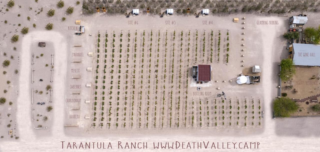 Tarantula Ranch Campground & Vineyard Near Death Valley National Park Амаргоса-Вэлли Экстерьер фото